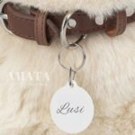 پلاک قلاده سگ و گربه با حک اسم و شماره تماس