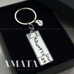 جاسوییچی پلاک ماشین استیل